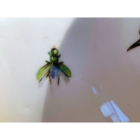 Vintage Germany Porcelain Bowl Robin Bird Lady Bug Fly - Picture 7 of 7